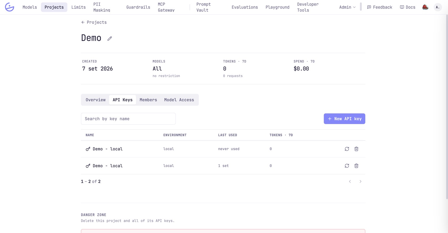 A project's API Keys tab listing each key with its environment, last use and 7-day tokens, with rotate and delete actions.