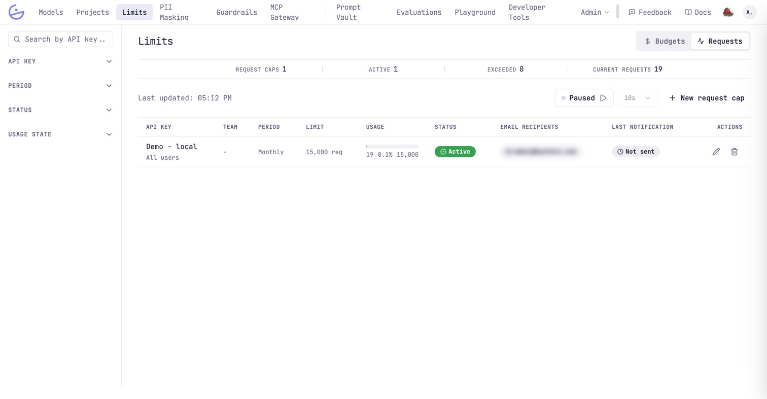 The Limits page (Requests view): counters for request caps, active, exceeded and current requests, over a per-key monthly cap of 15,000 requests with its usage bar. The recipient email is redacted.