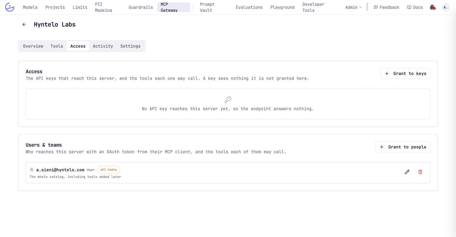 A server's Access tab with an empty API keys section and a Users and teams section granting one user access to all tools.