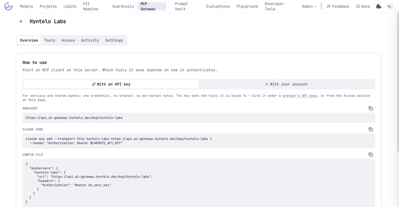 A server's Overview tab: how to point a client at it with an API key or an account, the endpoint URL and a Claude Code command, and a compliance card for PII masking and guardrails.