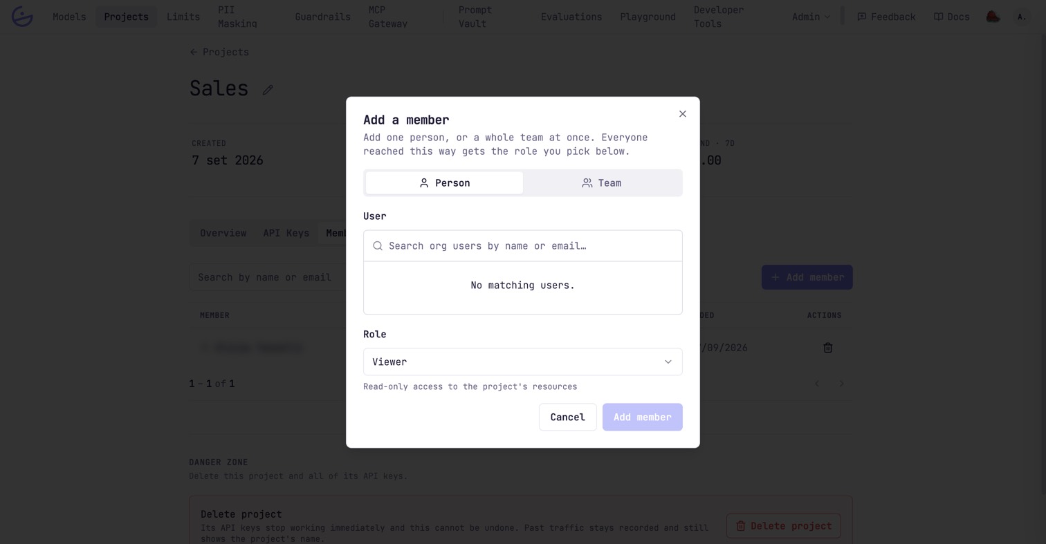 The Add a member dialog with Person and Team tabs, a user search field, and a Role dropdown reading Viewer with its description.