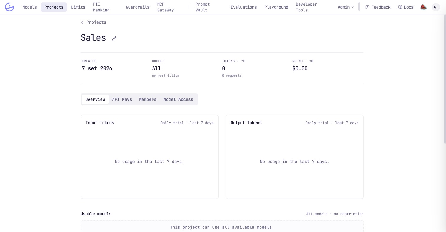 A project's Overview tab: the header with created date, model access, 7-day tokens and spend, the four tabs, and the input/output token charts.