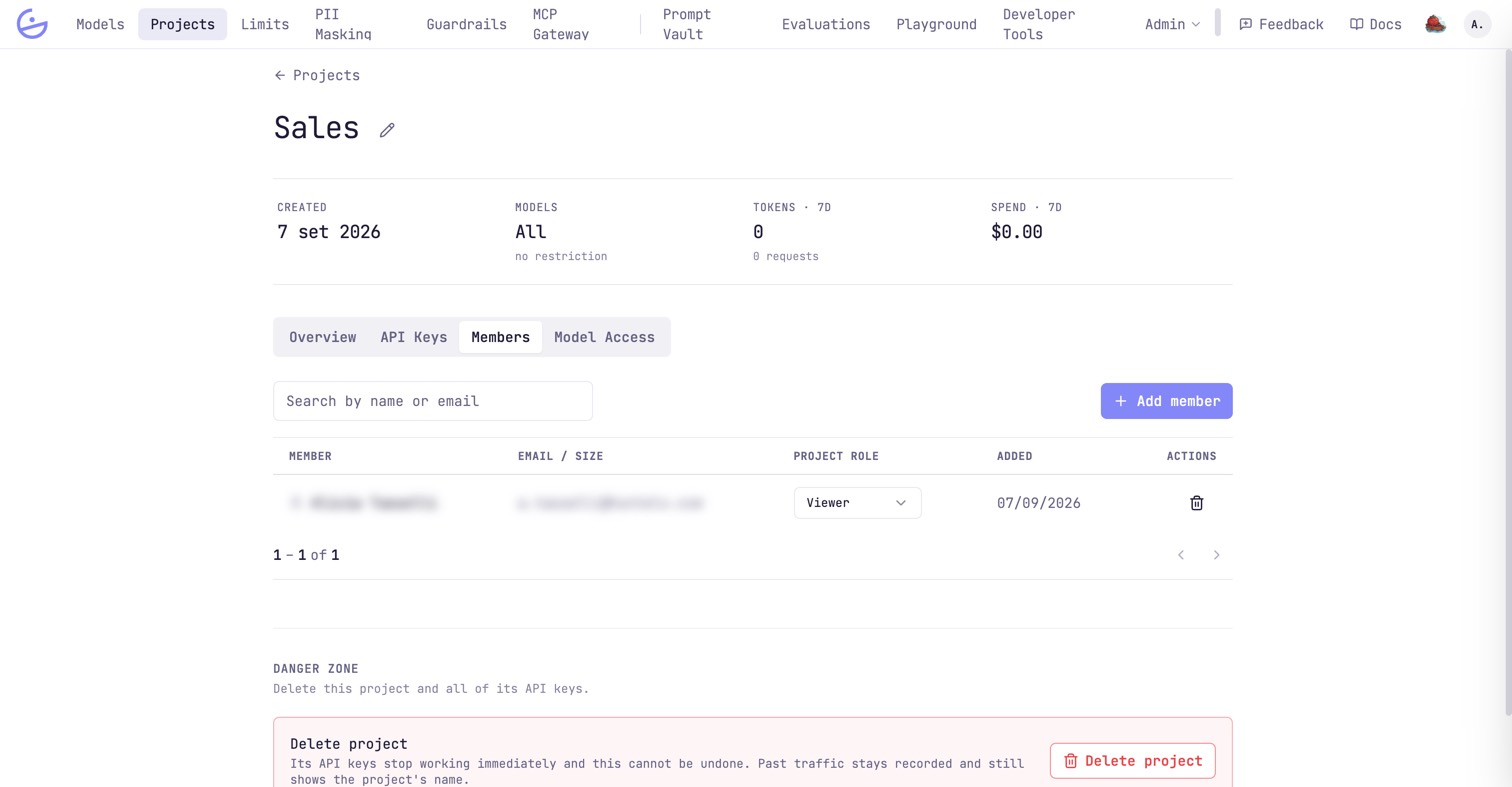 A project's Members tab with one member row, its project-role dropdown and the Add member button. Names and emails are redacted.