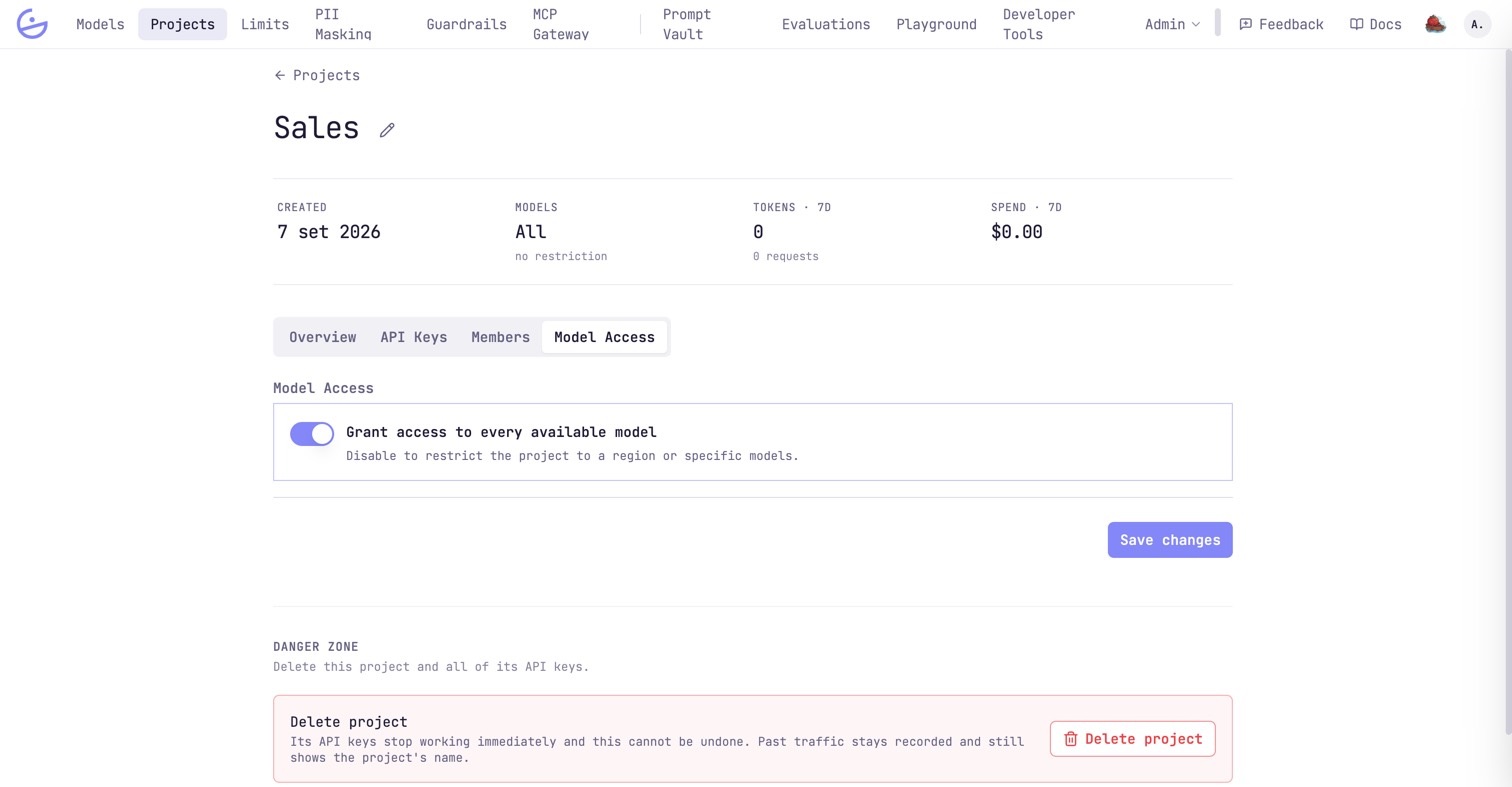 A project's Model Access tab with the toggle Grant access to every available model enabled, and a Save changes button.