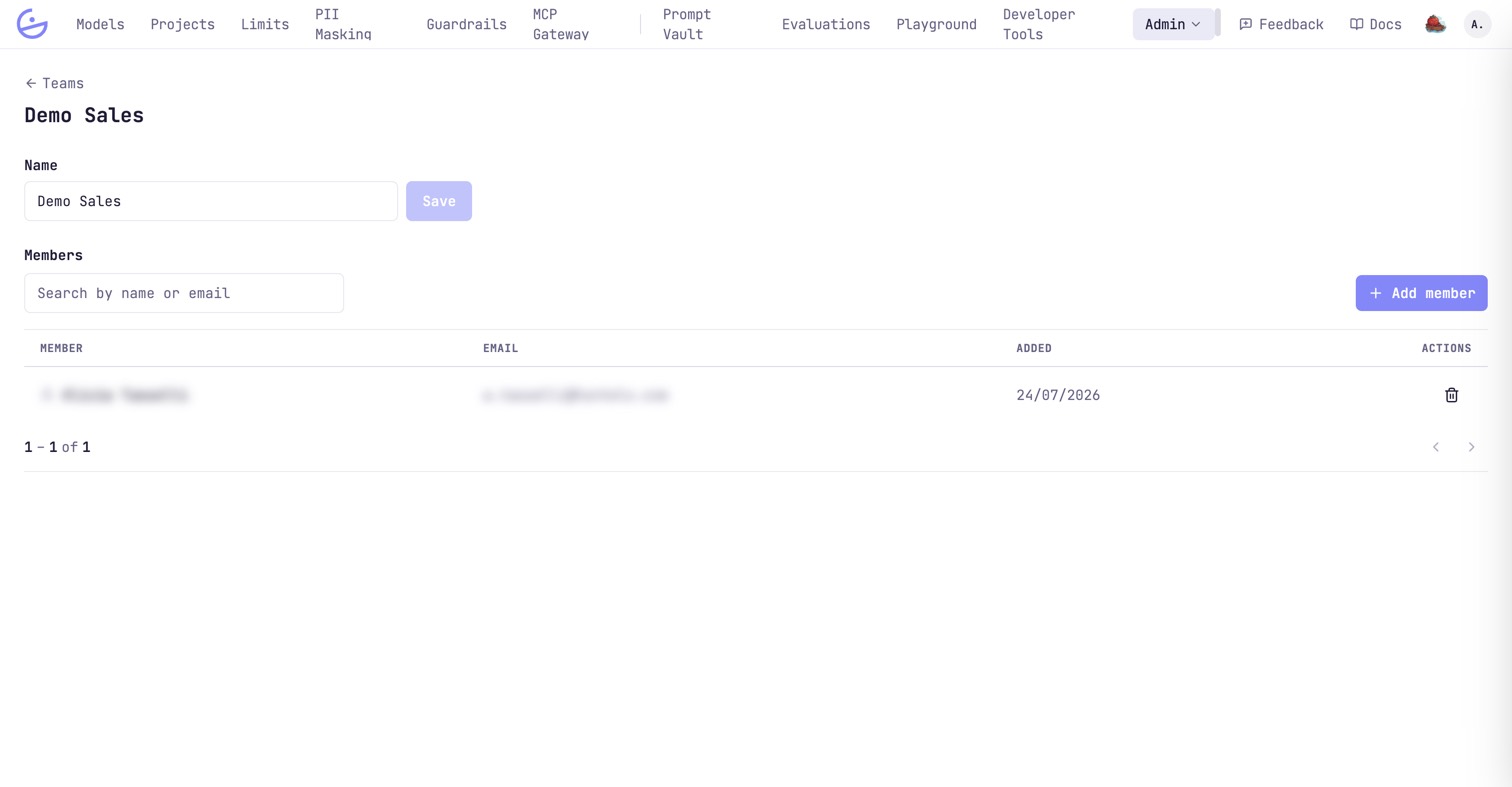 A team's detail page with an editable name field and a members table. Names and emails are redacted.